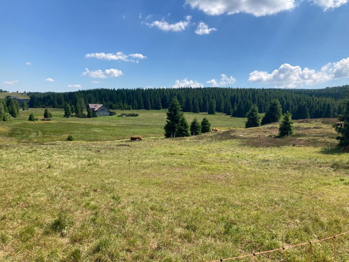 Apartmany V Lese Bedřichov Exterior foto
