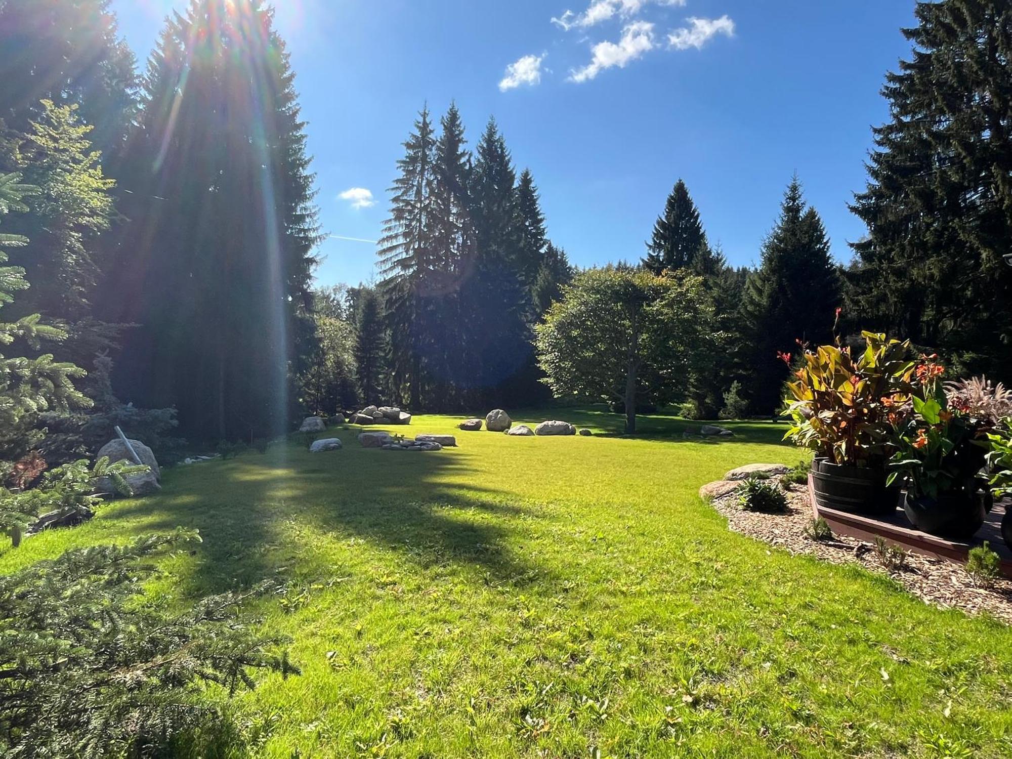 Apartmany V Lese Bedřichov Exterior foto